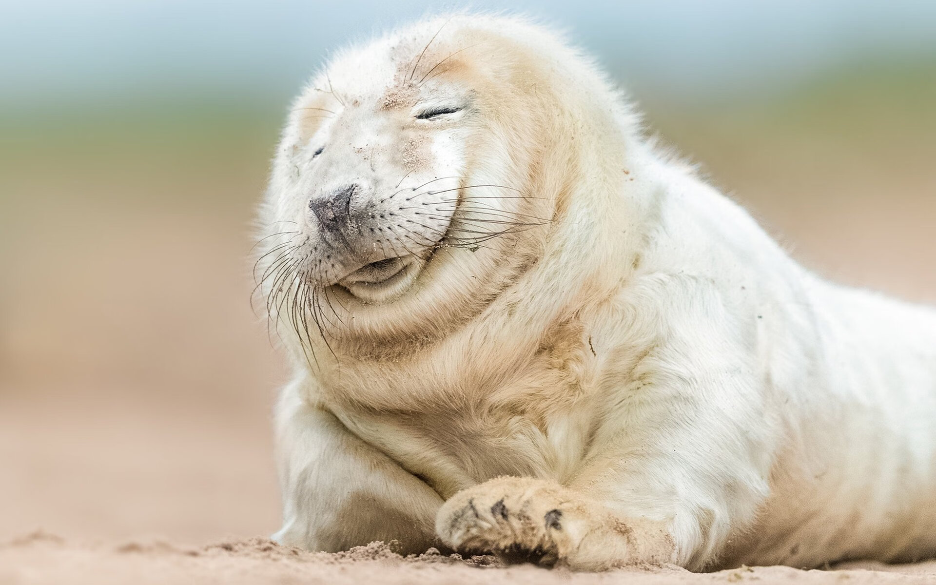 九游社区-德甲转会热潮：多支球队大幅补强年轻力量，德甲2021年夏季各队转会汇总