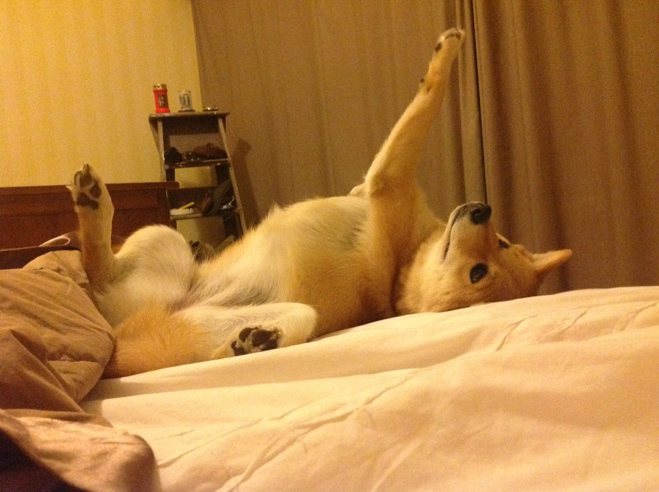 战术创新：哪支队伍再创新高？，战术方案